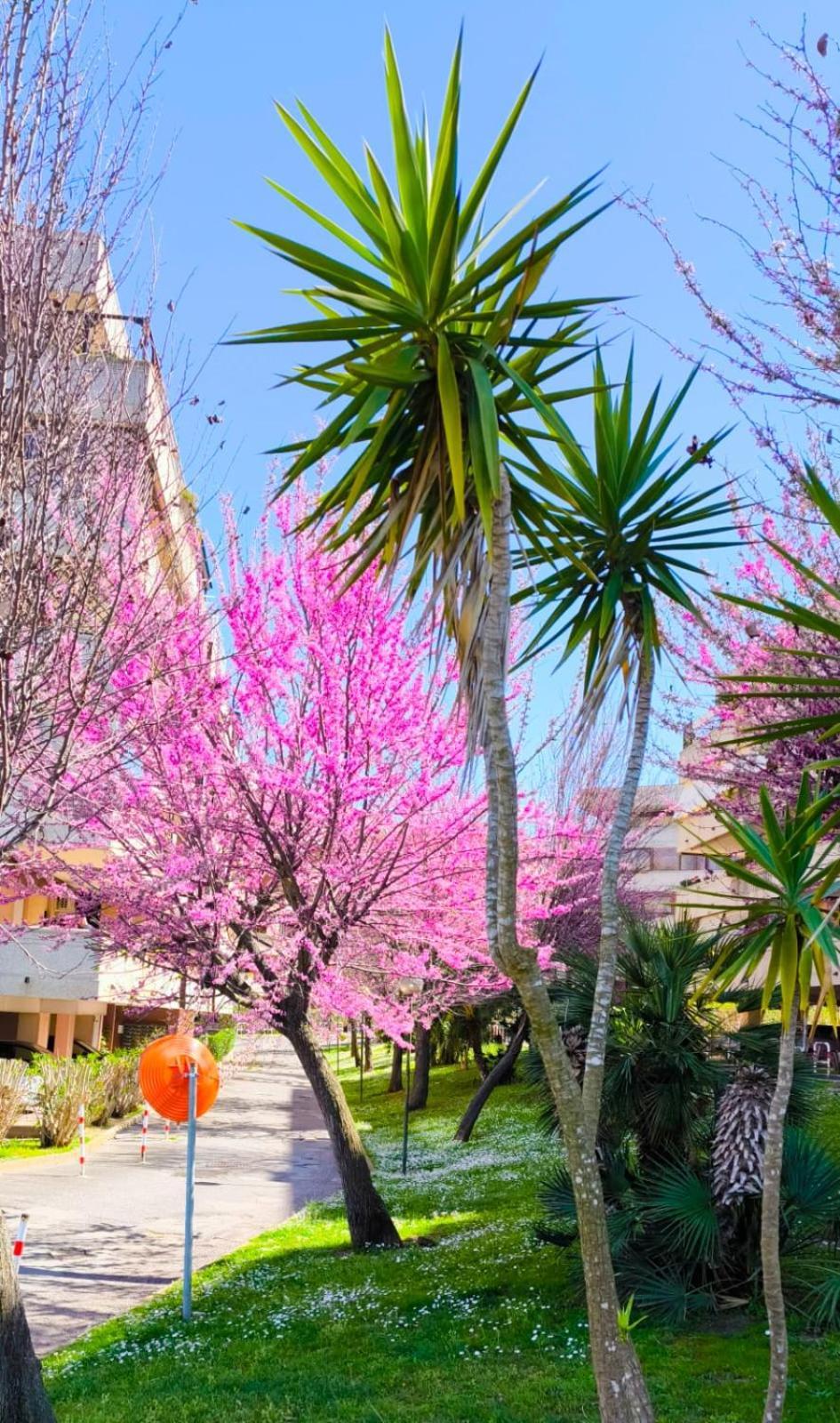 Rome Sweet Home Vitinia Bagian luar foto