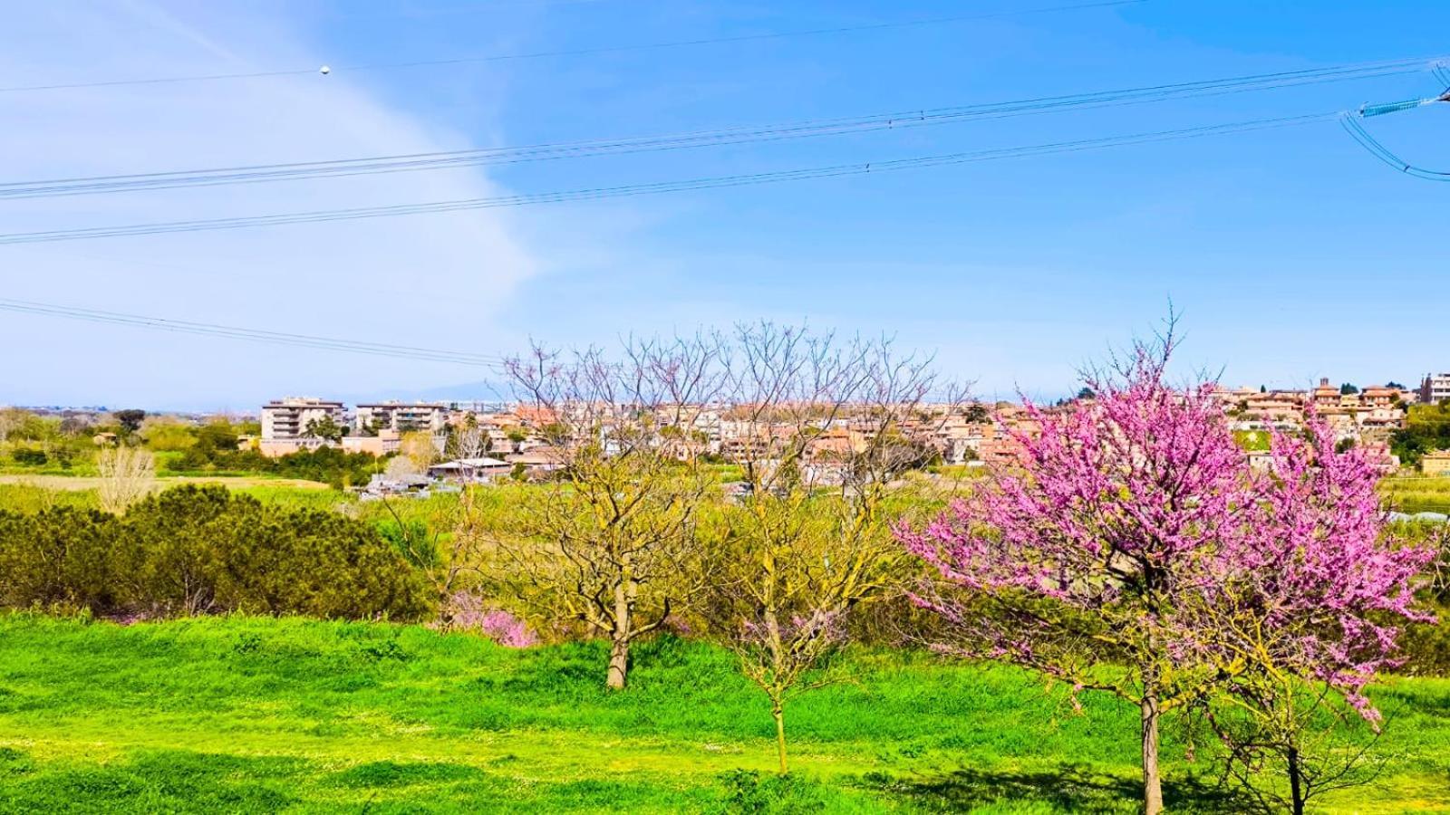 Rome Sweet Home Vitinia Bagian luar foto
